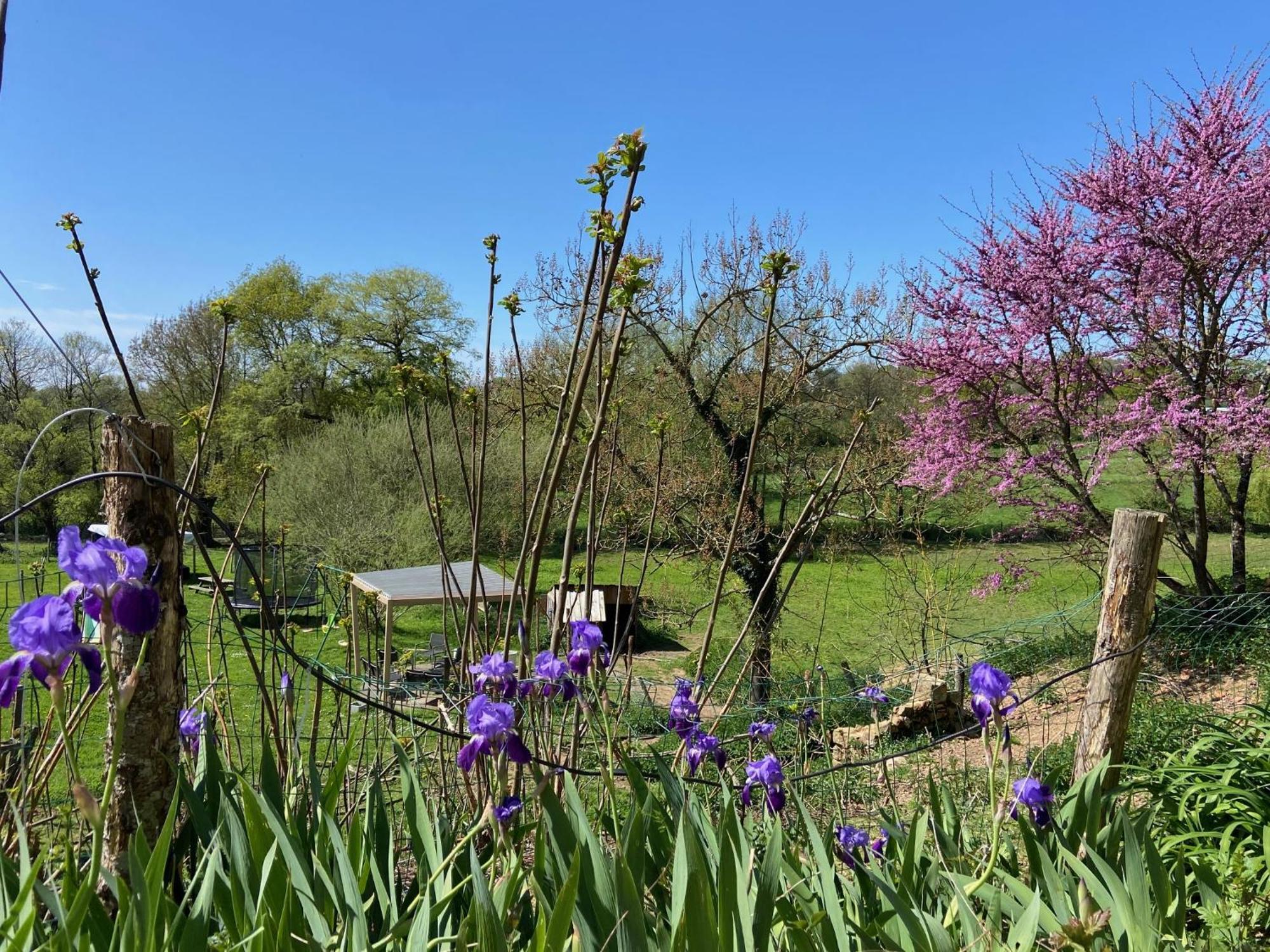 Le Petit Moulin Hotel Pouzauges Kültér fotó
