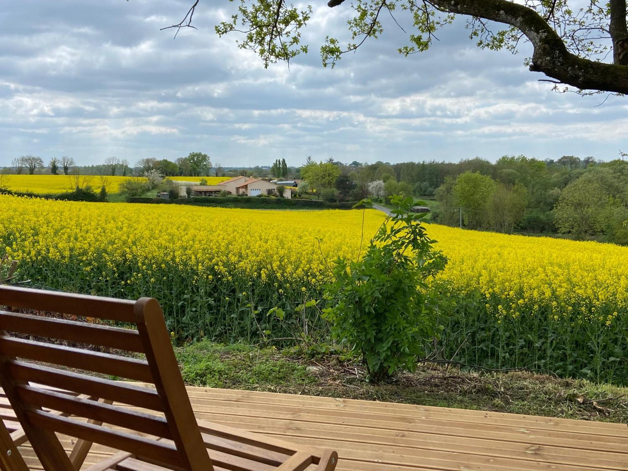 Le Petit Moulin Hotel Pouzauges Kültér fotó